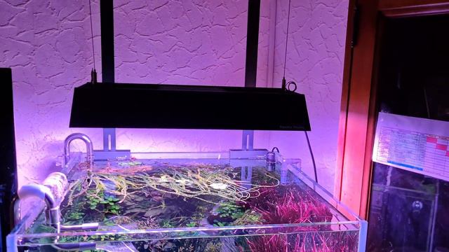 Chihiros New hanging stand LED light RGB VIVID-2 смотреть онлайн