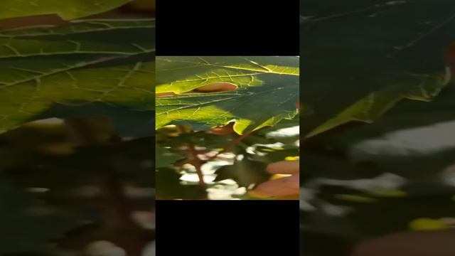 Жизнь удалась! смотреть онлайн