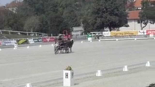 Niels Schelde-Petersen dressur VM 2011 смотреть онлайн
