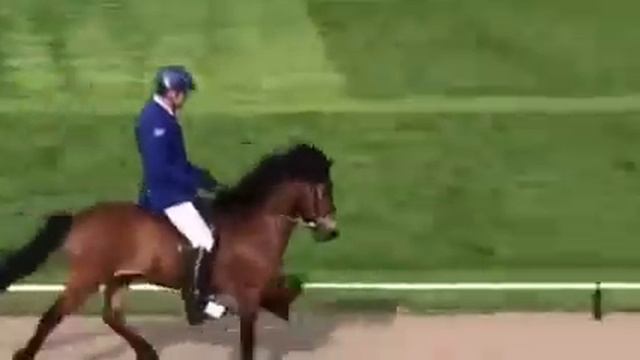 Hnit From Koltursey In World Chapionship