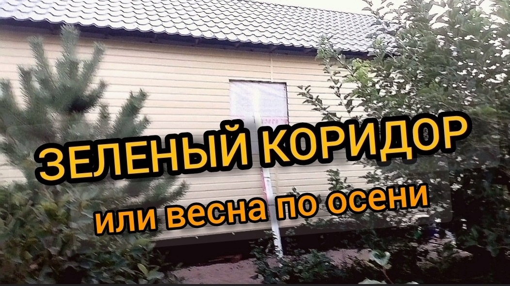 Укладываем сетку от грызунов, наводим порядок. 18-22.09.2024 смотреть онлайн