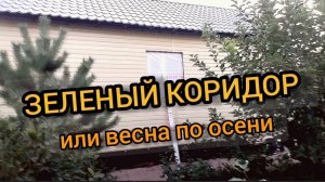 Укладываем сетку от грызунов, наводим порядок. 18-22.09.2024