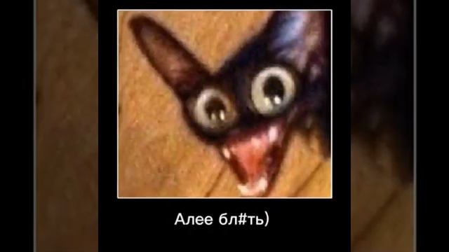 але ахахаха