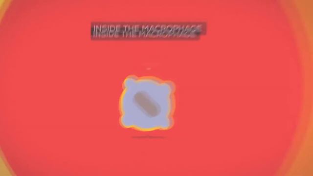 14.01.18 - Войцеховский Сергей - "Жестокий ли Бог?" смотреть онлайн