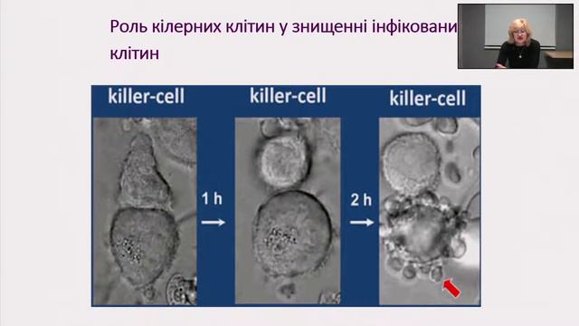 "Герпетичні інфекції -можливості сучасноі терапіі " смотреть онлайн