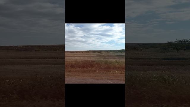 Казахстан я не прощаюсь, а говорю досвидания!