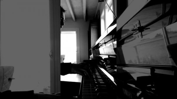 OREN LAVIE DID YOU REALLY SAY NO