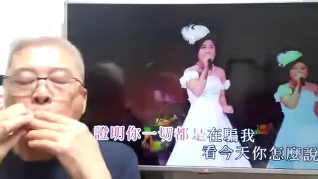 你怎麼說-朗嘎拉姆(口琴獨奏伴卡拉OK) Michael Gor