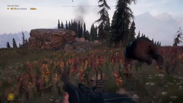 FAR CRY 5 GAMEPLAY PART 39 - ADELAIDE DRUBMAN смотреть онлайн