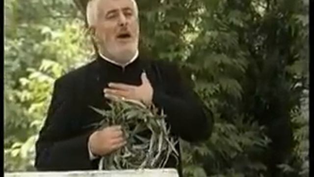 Pr. Marian Marcus - Sub O Salcie Pletoasă + Versuri. Cântări Vechi