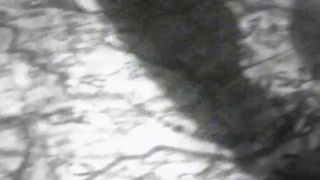 Marco Masini Vaffanculo смотреть онлайн