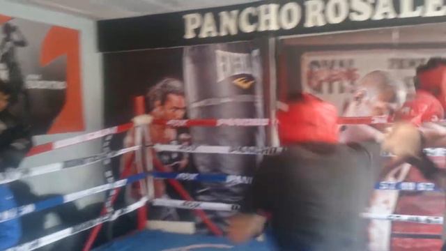 Juan Carlos Salgado se alista para el 31 de enero en Arena Coliseo смотреть онлайн