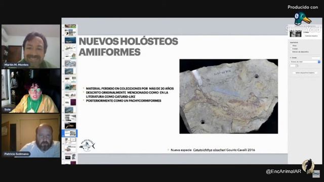 Instituto E.A.AR – Los Actinopterigios marinos fósiles de Argentina. смотреть онлайн