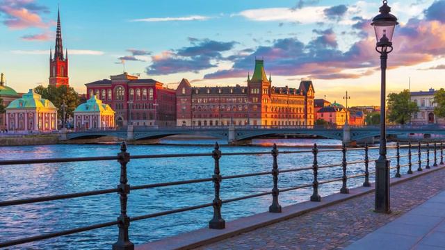 slappna av min katt musik för katter att sova avslappnande musik för katter sällskapsdjur terapi смотреть онлайн