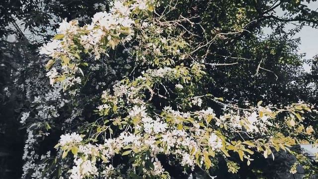VID 20230521 191321 Она переодевается (Поль Элюар)...Павел Васильев Лахтинский смотреть онлайн