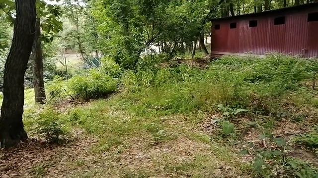 26.08.21.Как было"ДО" покоса травы.СВУ, лагерь. +79241232444 Стороженко Владимир смотреть онлайн