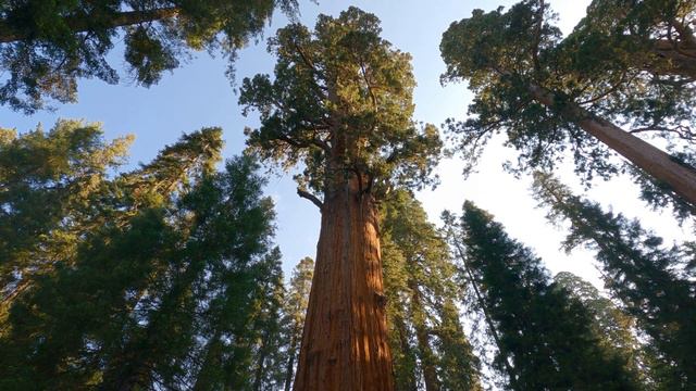 General Sherman смотреть онлайн