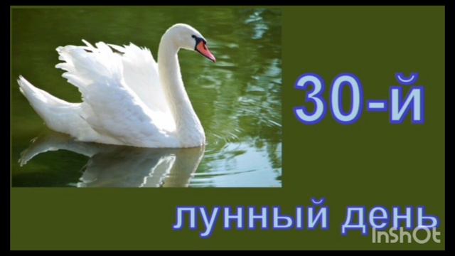 Лунный День Секс Лунный День Секс