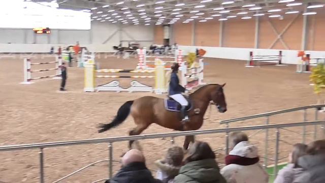 2017.02.11 Дерби Капо Карл Настя Гарник 130