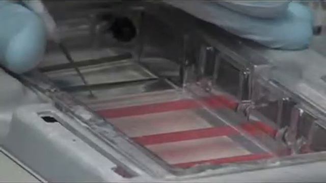 Haylee's Story - Part 1