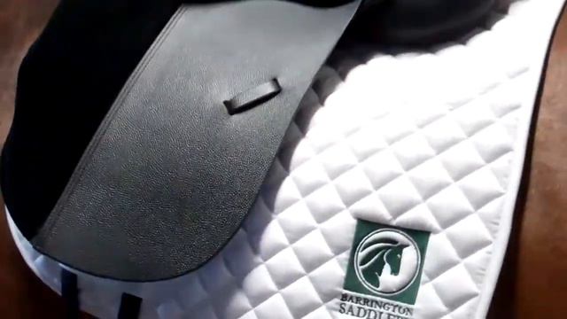 Padre's new Dressage Saddle смотреть онлайн