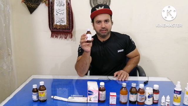 Best medicine for persian cats /lose motion /vomiting /fever /All types of infections /Urdu/Hindi смотреть онлайн