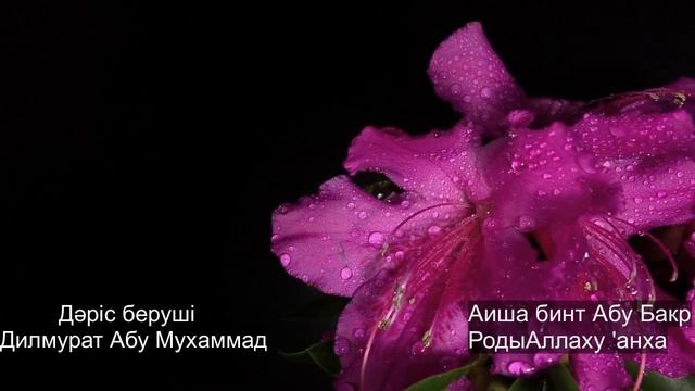 Аиша бинт Абу Бакр родыАллаху 'анха. Дилмурат Абу Мухаммад смотреть онлайн