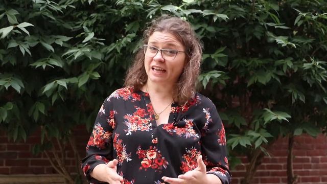 Introducing The Dr. Albert C. Johnston Mural To Students