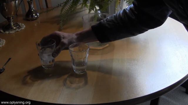 Video 8 - Demokrati Og Repræsentativt Demokrati - Organismetanken