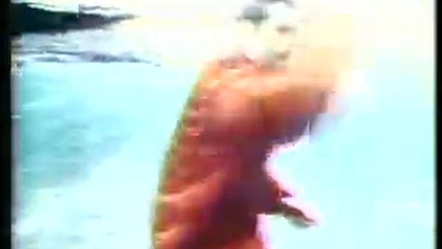 CBS 6 Video Vault - 1995 - Feburary 27 - George Allen and Jimmy Johnson смотреть онлайн