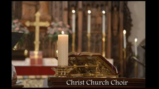 Vidi Aquam (Joseph Gruber)