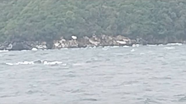 Romblon Chanel@Cantingas Sailor смотреть онлайн