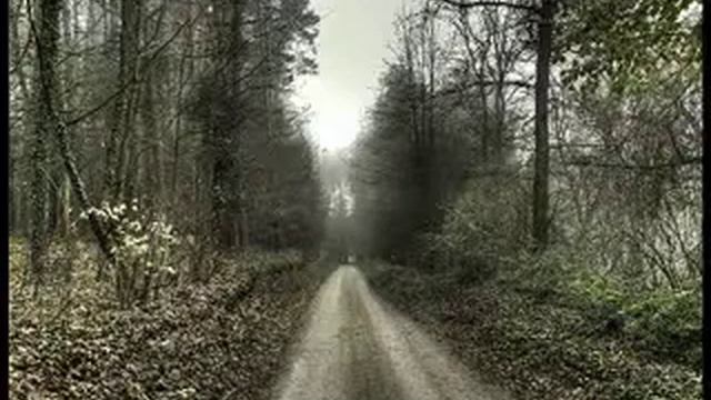 Peter Heppner - Alleinsein (Paul Van Dyk Remix)