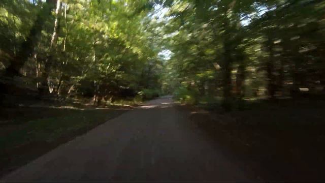 Склон от Лесничества Битцевского парка до поворота на Инессы Арманд