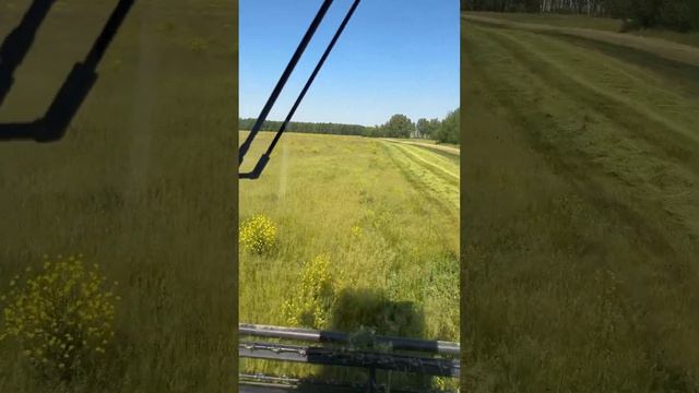 МЕЩЕРА Е403 четвертый сезон смотреть онлайн