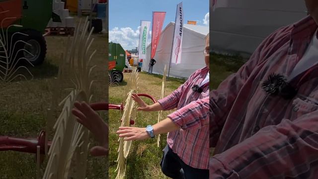 Грабли "Ситрекс" (SITREX) #сельскоехозяйство #agriculturelife #кормозаготовка смотреть онлайн