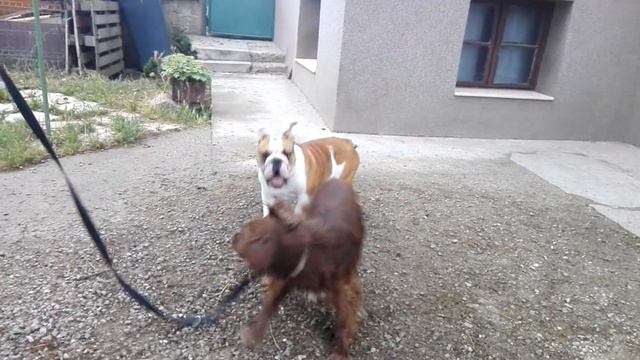 Бети, Ащън и малко Кай смотреть онлайн