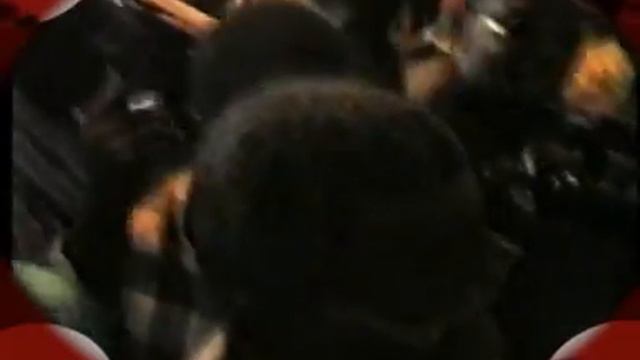 Sheikh Muyideen Ajani Bello - Iku Lopin 3 смотреть онлайн