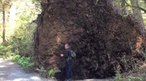 Happy Foofin' Birthday Erin!