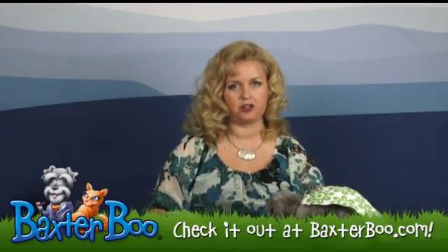 Country Club Dog Dress by Zack & Zoey - Green смотреть онлайн