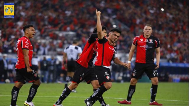 Aldo Rocha Podria Vestirse De TIGRE
