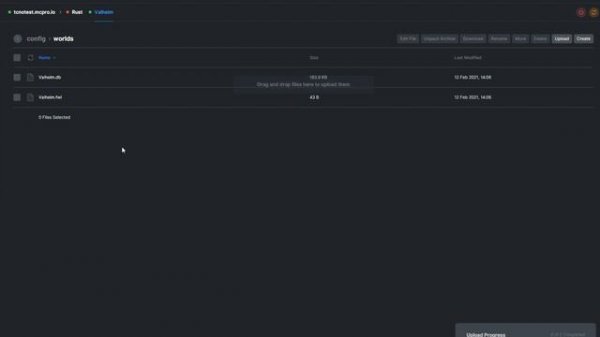 How to Upload/Import a Valheim World to a Dedicated Server - Server.pro