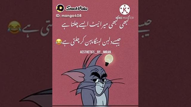 tom jerry shaar January 15, 2023 смотреть онлайн