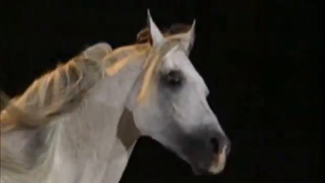 Tina Turner Simply The Best extended version HQ смотреть онлайн