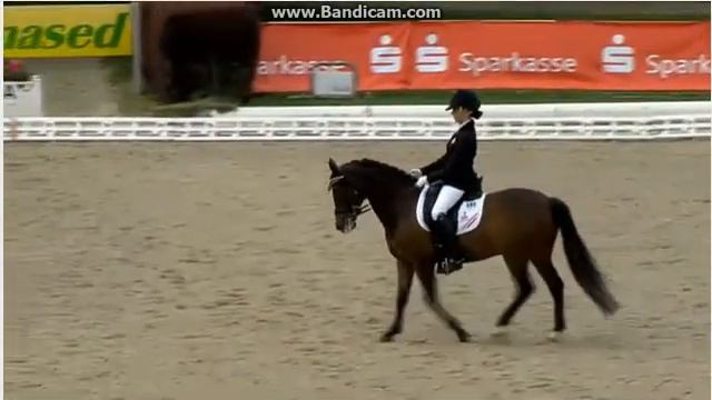 Haasendoncks Sultan & Joelle Peters смотреть онлайн