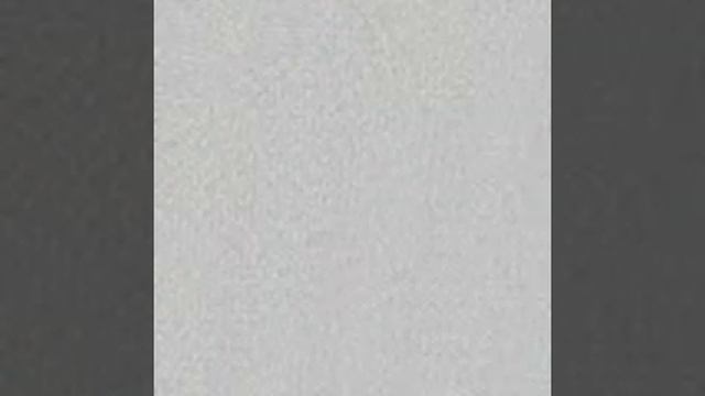 Sergio Rodriguez Live Stream