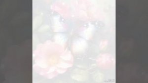 Video_20240921223717365_by_VideoShow