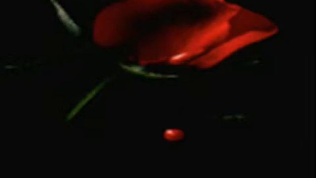 Alkinoos Ioannidis Den Mporw Αλκινοος Δεν Μπορω 1H TRELA TOY AIGAOY EINAI EDW смотреть онлайн