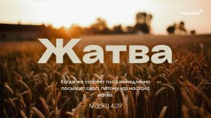 Праздник Жатвы | Церковь «Неемия» г. Омск