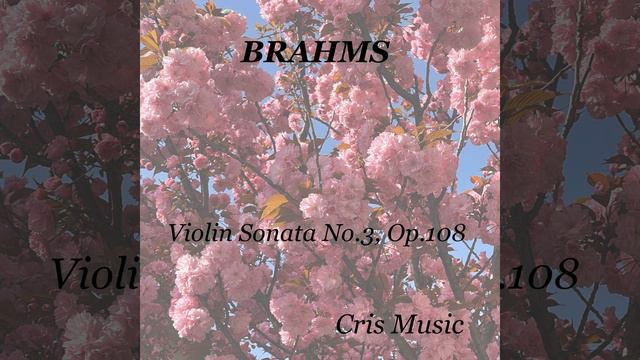 Violin Sonata No.3, Op.108: 4. Presto Agitato